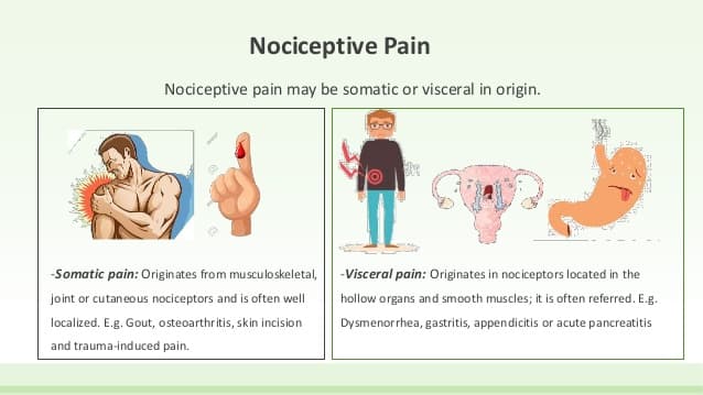 Nociceptive pain is caused by potentially harmful stimuli being detected by receptors around the body