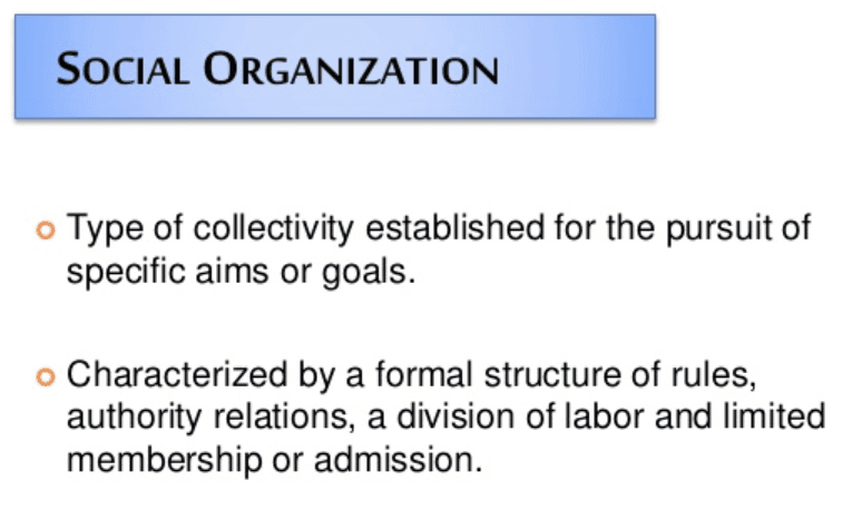 A/an organization is a group with identifiable membership that engages in certain action to achieve a common purpose .