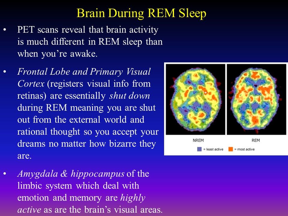 During rapid eye movement sleep, the mind appears awake on EEG, but the person is asleep .