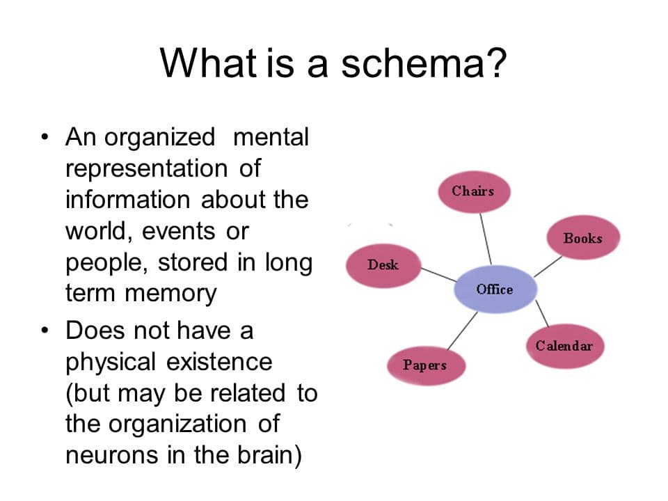 People use schemata to organize current knowledge and provide a framework for future understanding.