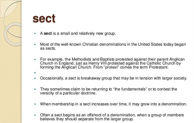 A/an sect is a religious group that arose from a split from a larger religion.