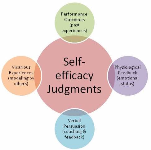 Self Efficacy: Self-efficacy is the degree to which we see ourselves as being capable at a given skill or situation .