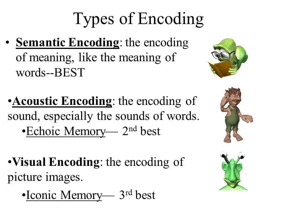 Semantic encoding is a specific type of encoding in which the meaning of something is encoded as opposed to the sound o…
