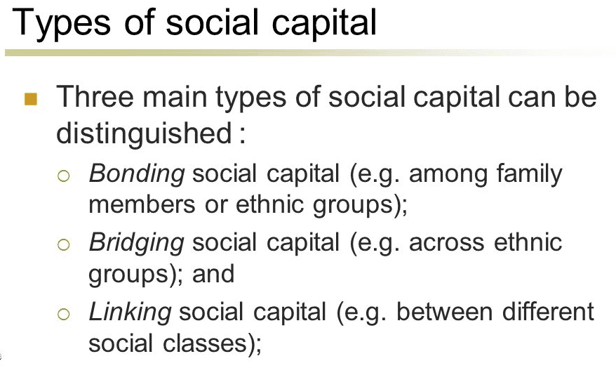 Social capital is the practice of developing and maintaining relationships that form social networks willing to help ea…