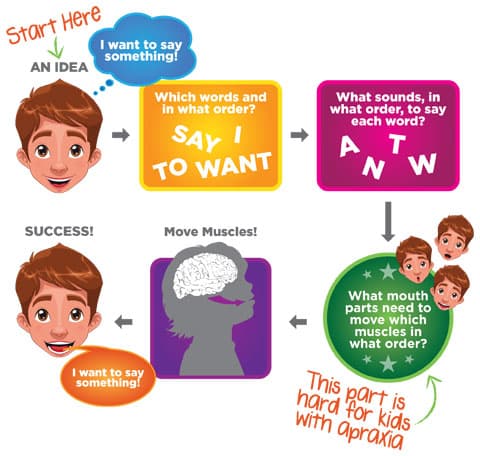 Speech Apraxia: Childhood apraxia of speech (CAS) is a speech disorder in which a child's brain has difficulty coordinating the complex…