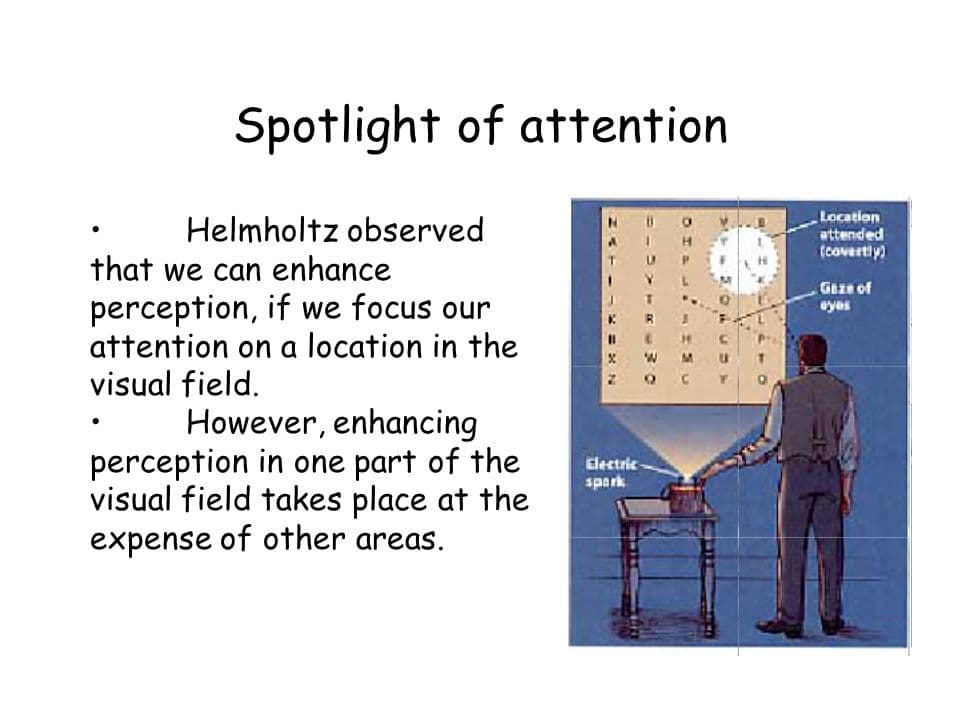 The spotlight model of attention describes how our focus of attention is analogous to the beam of a spotlight; the move…