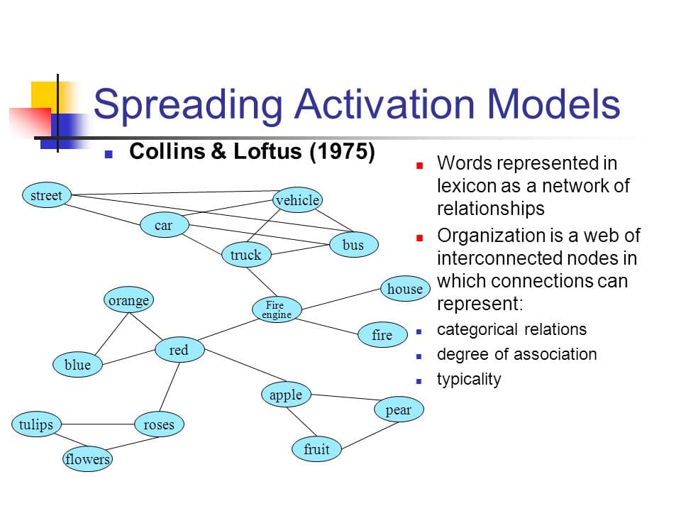 The spreading activation model states that all the ideas in our brain are connected together and when we recall one mem…
