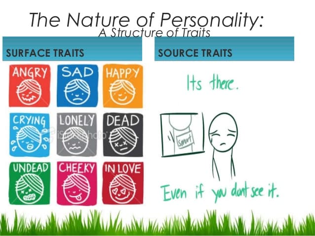 Surface traits of personality are very obvious and can be easily identified by other people, whereas source traits are…
