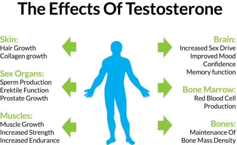 Testosterone and estrogen are hormones that mediate libido among other functions.