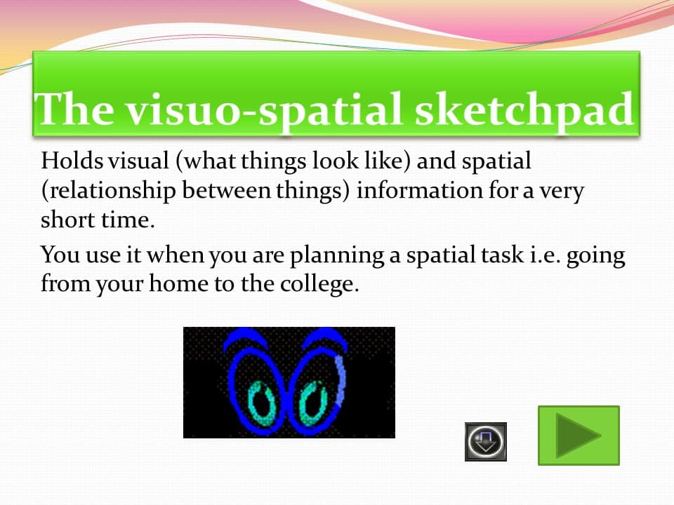 Visuospatial Sketchpad: The visuo-spatial sketchpad is the component of working memory responsible for handling visual and spatial information.