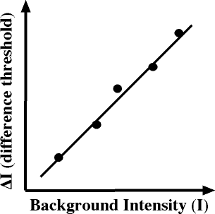 Webers Law: Weber’s law states that the just noticeable difference for a stimulus is proportional to the magnitude of the stimulus.