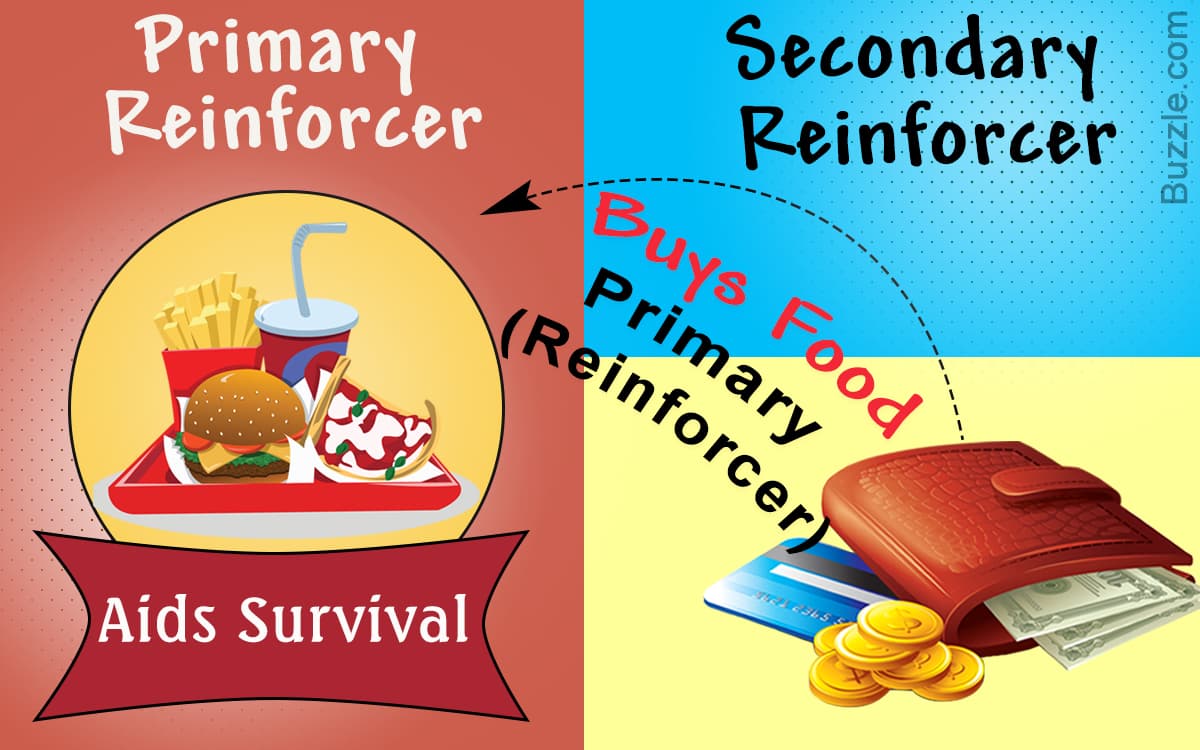 Primary reinforcers are things that are innately satisfying/desirable