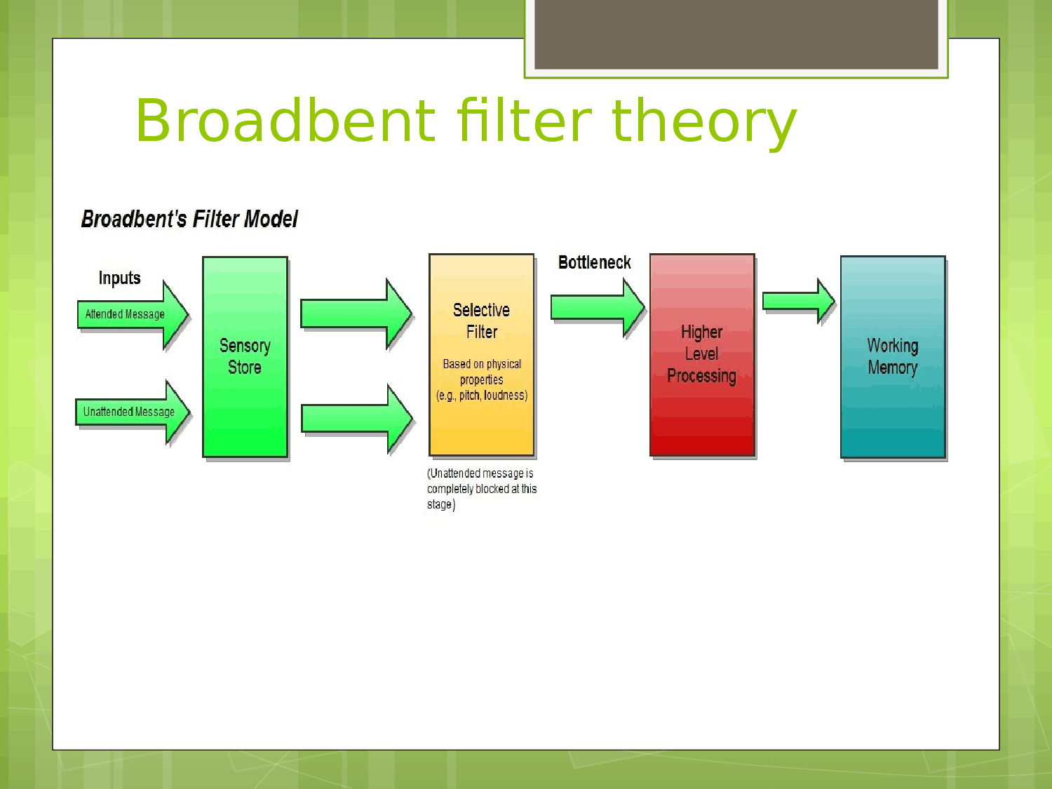 Broadbent's early selection theory proposed that stimuli go into a sensory register --> selective filter --> perceptual…