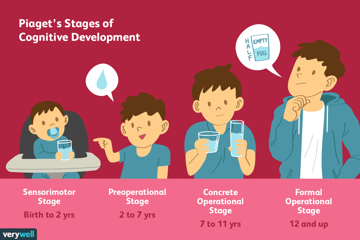 Infant's in the sensorimotor stage gather information through senses (sight, smell, taste, touch) and motor function (l…