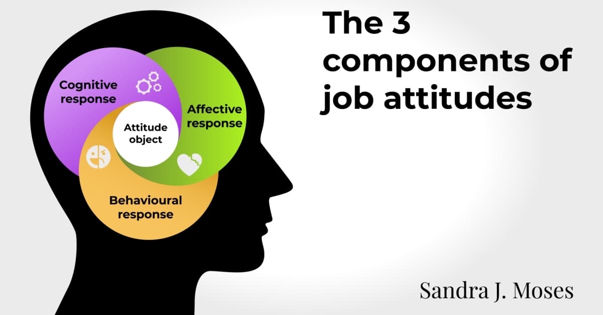 3 components job attitudes: The three components that shape our attitude are affective, behavioral, and cognitive