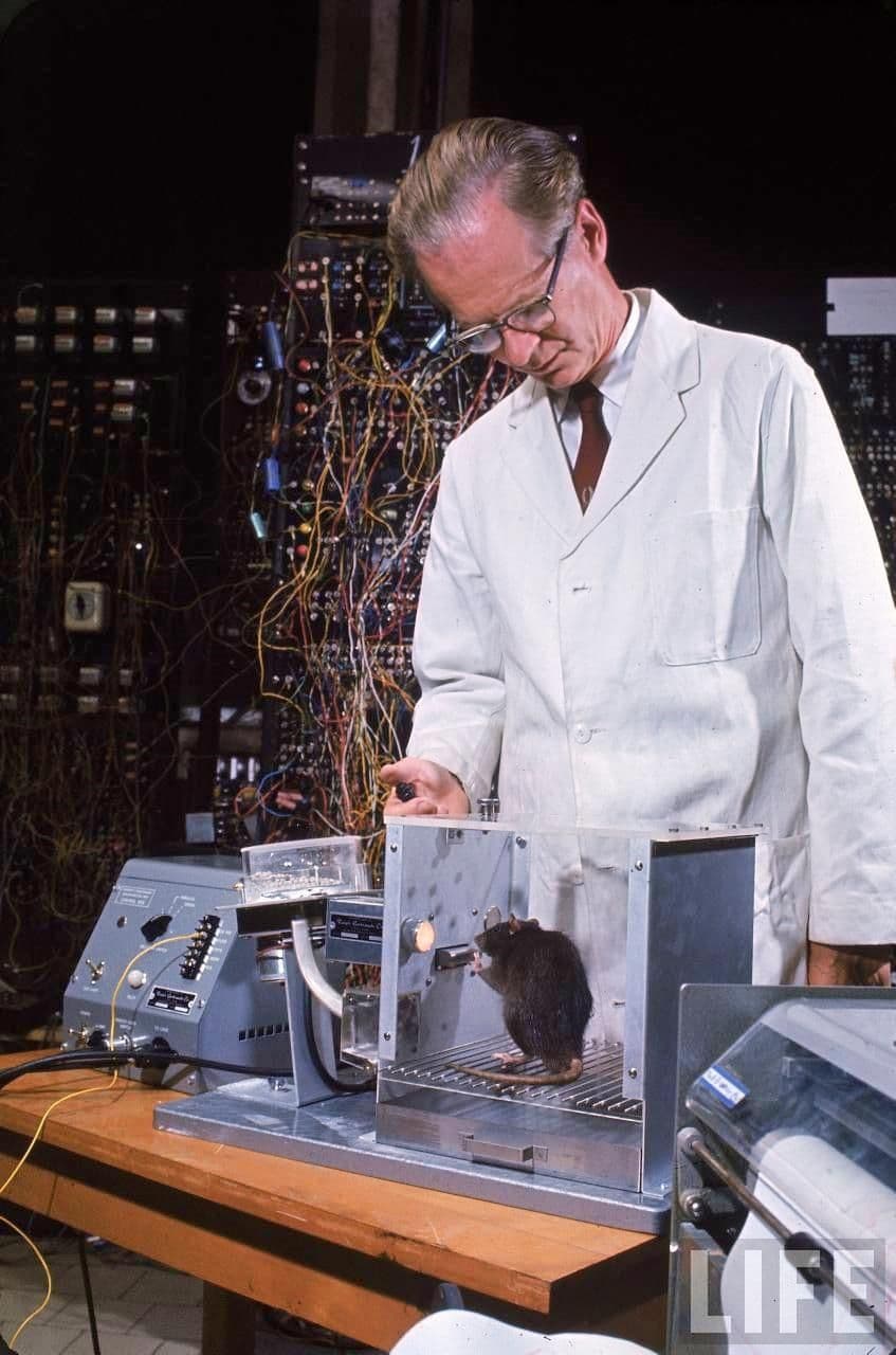 Operant conditioning is associated with B.F. Skinner
