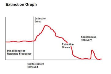 Extinction Graph: Spontaneous recovery is when an old, usually extinct, conditioned stimulis elicits a conditioned response