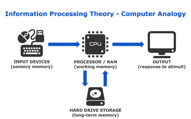 Information Processing Computer Analogy: The information processing model states that we get inputs from environment, process the inputs, and output decisions.