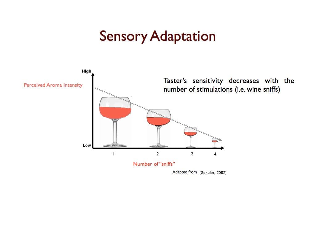 Sensory adaptation is the change over time of receptor to a constant stimulus
