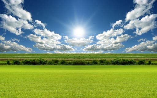 Photopic vision occurs at high light levels