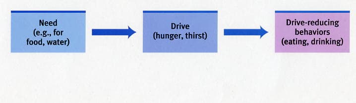 drive reduction: A drive is an aroused state caused by survival needs