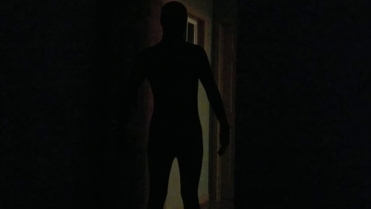 Hypnagogic hallucinations are hearing/seeing things that aren't there during N1 sleep