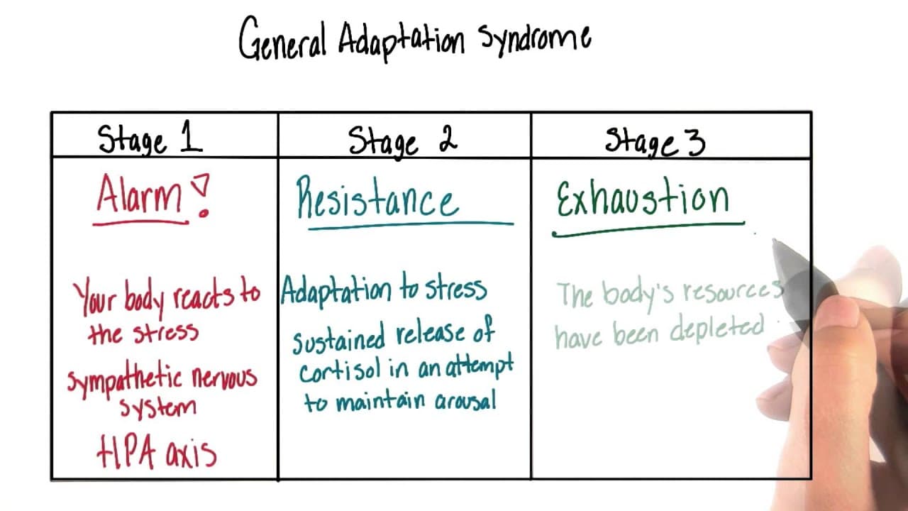 General adaptation syndrome was developed by Hans Selye