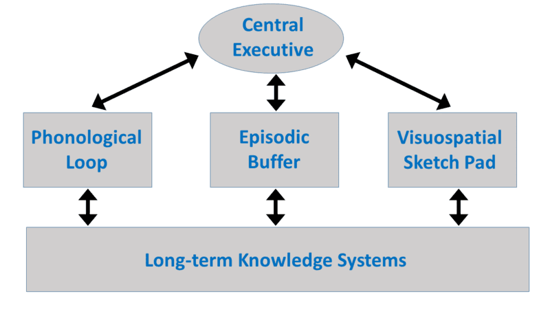 original: Visuo-spatial sketchpad is where visual and spatial info are processed