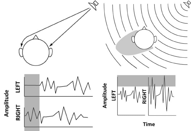 What is the Interaural time difference? Time it takes for sound to reach the L vs. R ear