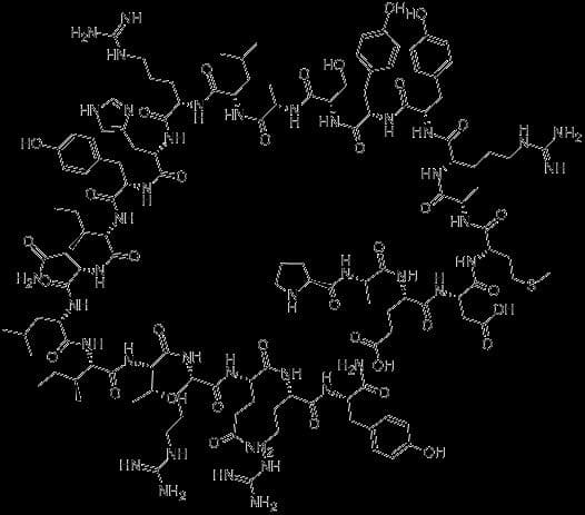 Neuropeptide Y in humans Inhibits the Feeding circuit Blocking Satiety