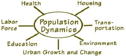 What is Population Dynamics? How population grows and shrinks over time