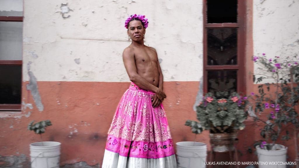 What is Third Gender: Cultures that recognize non-binary gender
