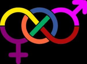 Sexual Orientation refers to Attraction and Fornication
