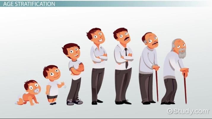 What is Age Stratification Theory? Behavior is defined based on our age group. Our age group defines how we act.