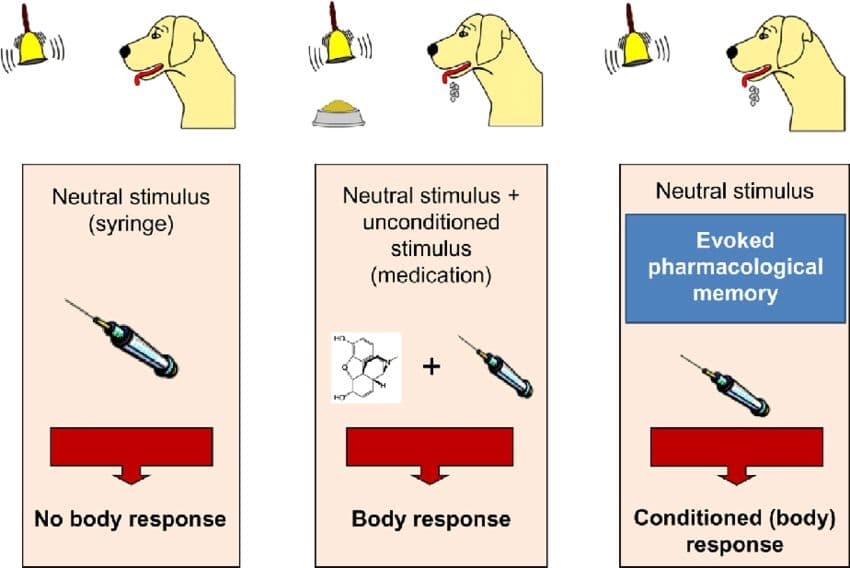 What is Conditioned memory? Memory formed based on association between 2 things