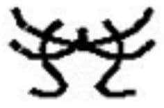 Symmetry states that the mind percieves objects as being symmetrical and forming around a center point