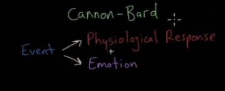 Cannon-Bard Theory of Emotion Event ↓ Physiological Response + Emotion at same time