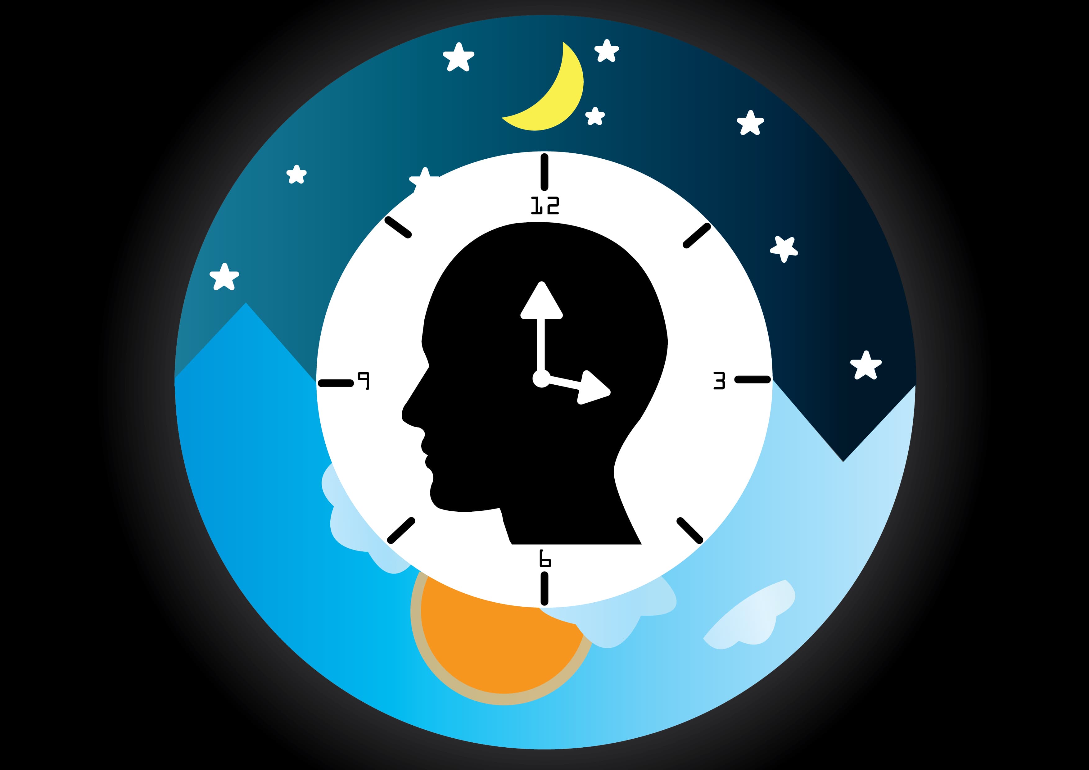shutterstock: Circadian rhythms are regular body rhythms across a 24-hour period