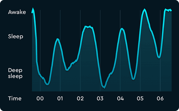 sleepcycle regular sleep: The order within a sleep cycle goes from N1 --> N2 --> N3 --> N2 --> REM --> N1