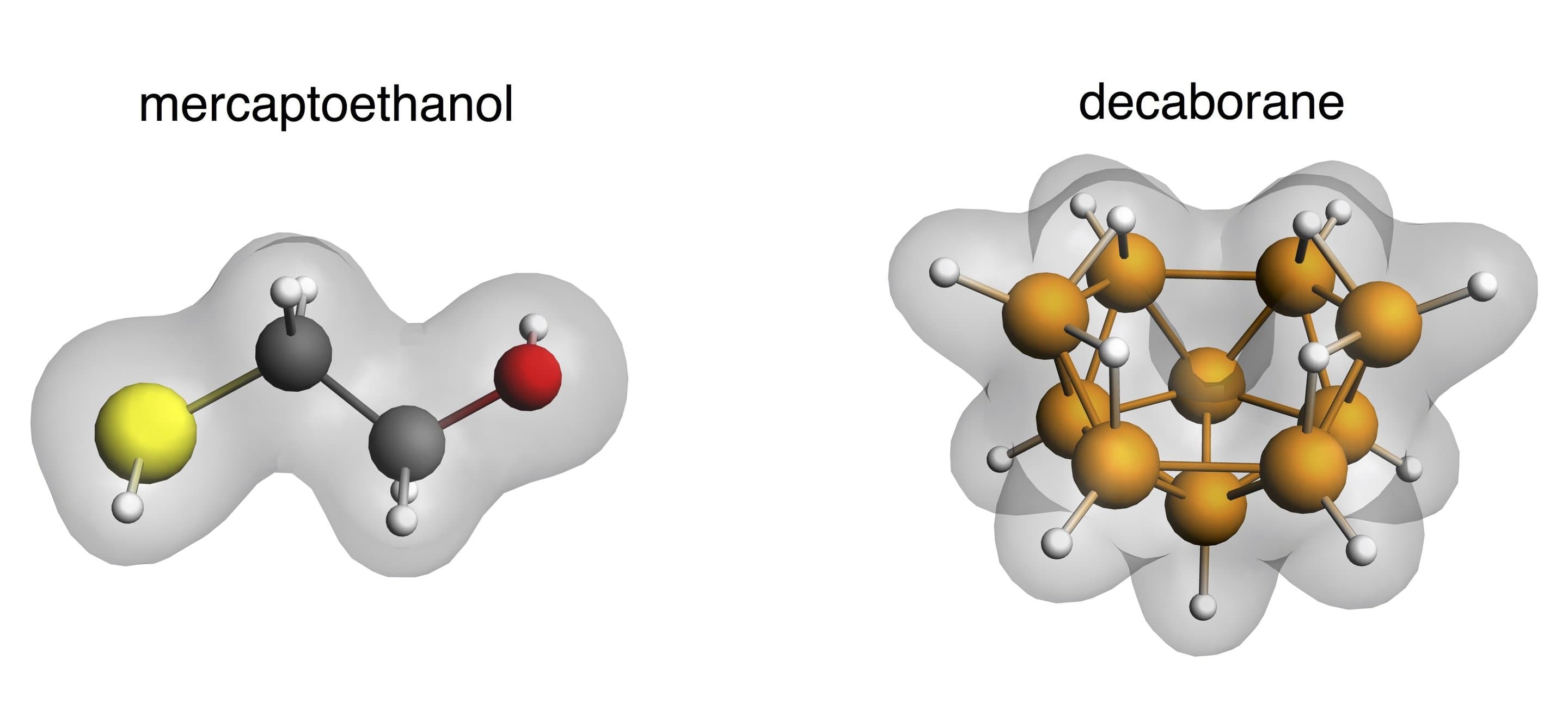 thevibration: The vibrational theory of olfaction states that vibrational frequency of a molecule gives that molecule a specific odor.