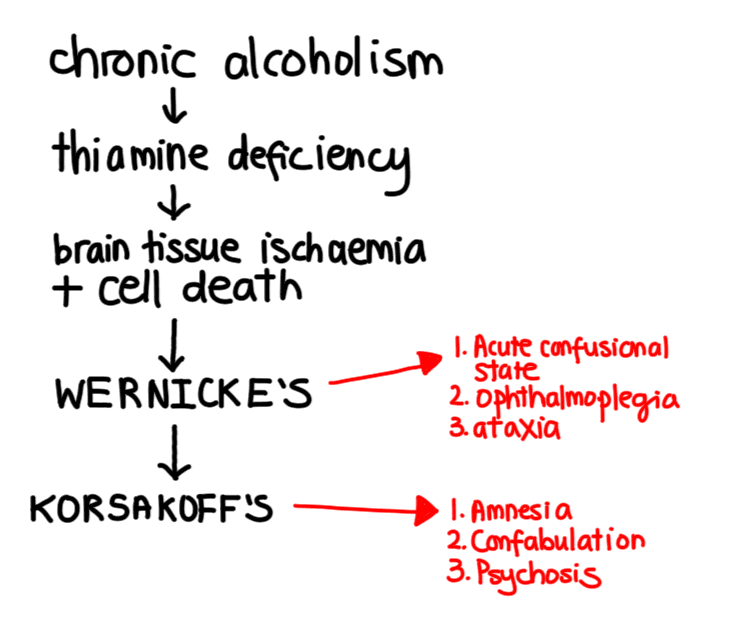 Korsakoff's syndrome is associated with individuals who are malnourished or alcoholics